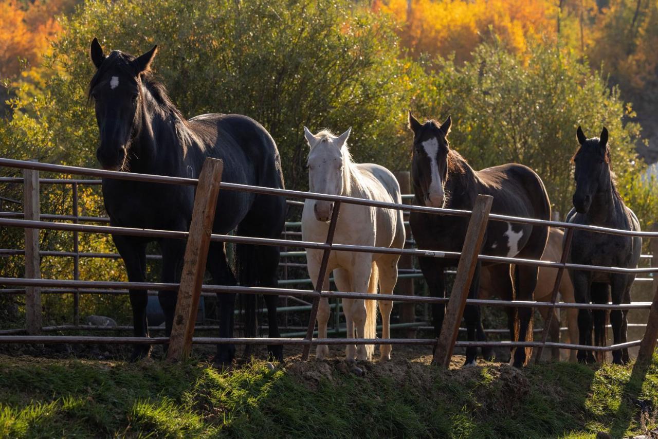 فيلا Heart Six Ranch موران المظهر الخارجي الصورة