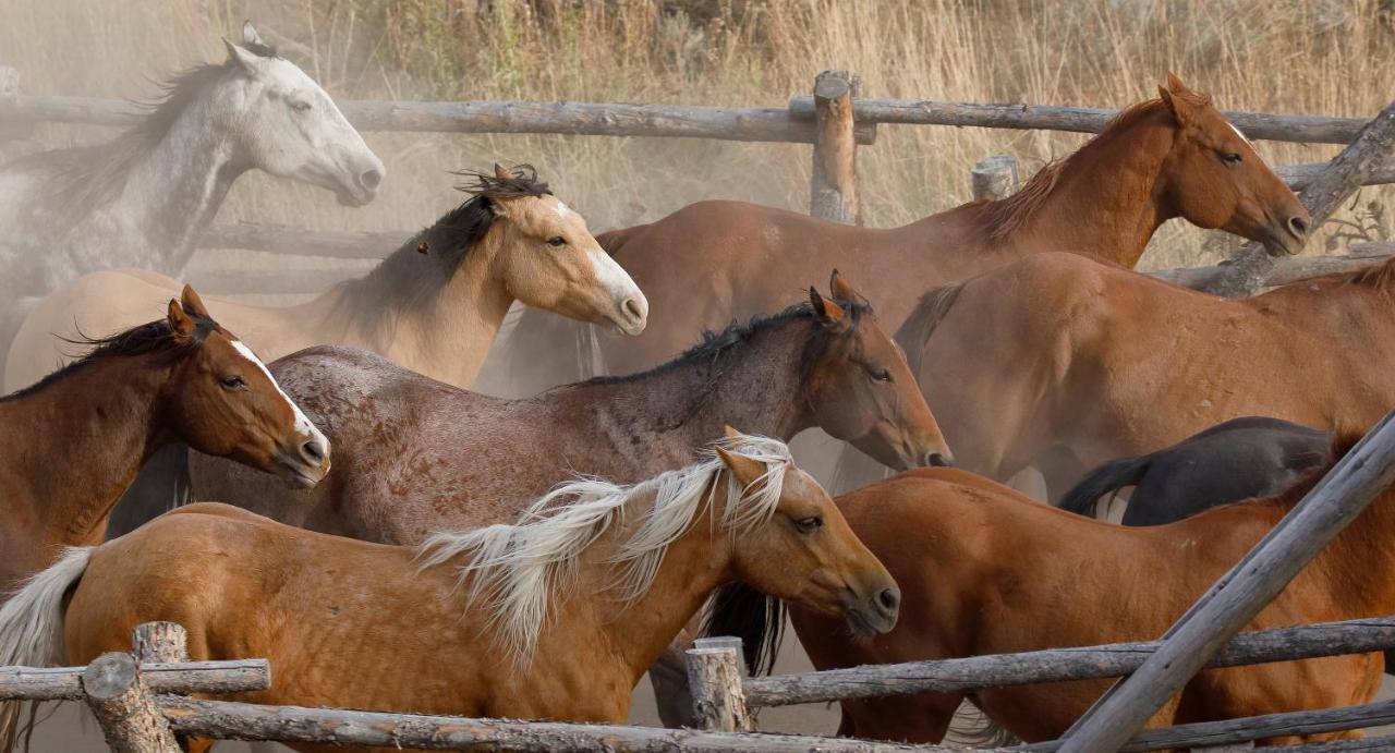 فيلا Heart Six Ranch موران المظهر الخارجي الصورة